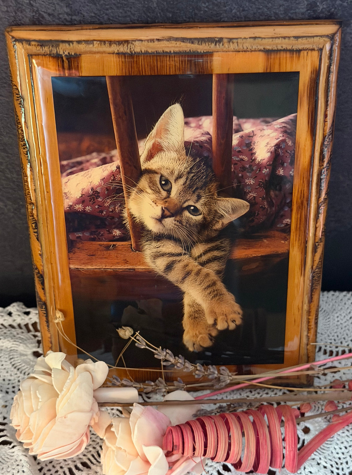 Fotografía de gato atigrado enmarcada vintage – Marco de madera rústica – Encantador arte de pared de gatito – Decoración de gatos estilo cottagecore y granja