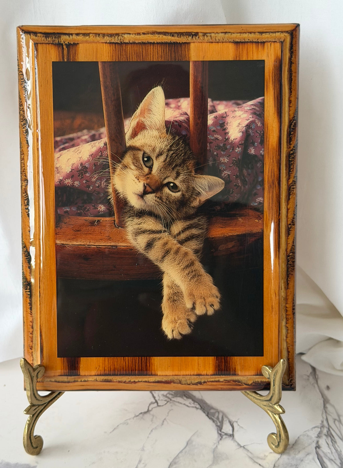 Fotografía de gato atigrado enmarcada vintage – Marco de madera rústica – Encantador arte de pared de gatito – Decoración de gatos estilo cottagecore y granja