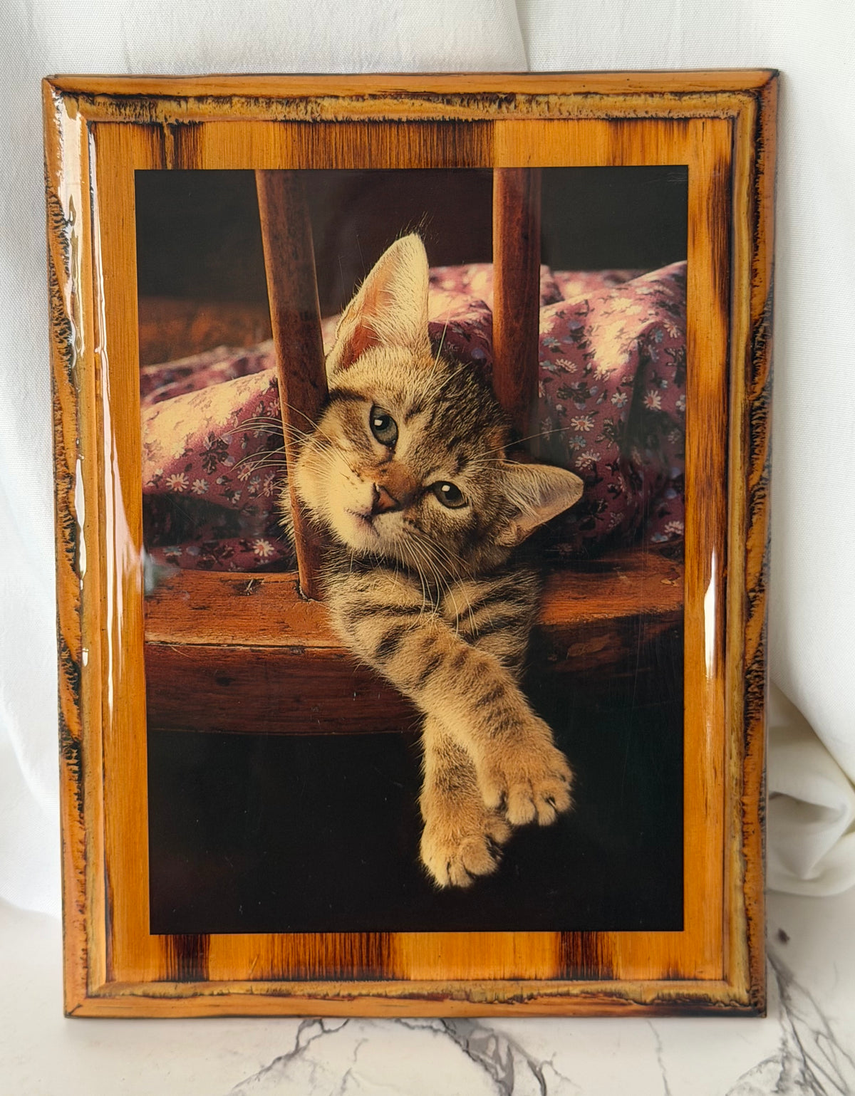 Fotografía de gato atigrado enmarcada vintage – Marco de madera rústica – Encantador arte de pared de gatito – Decoración de gatos estilo cottagecore y granja