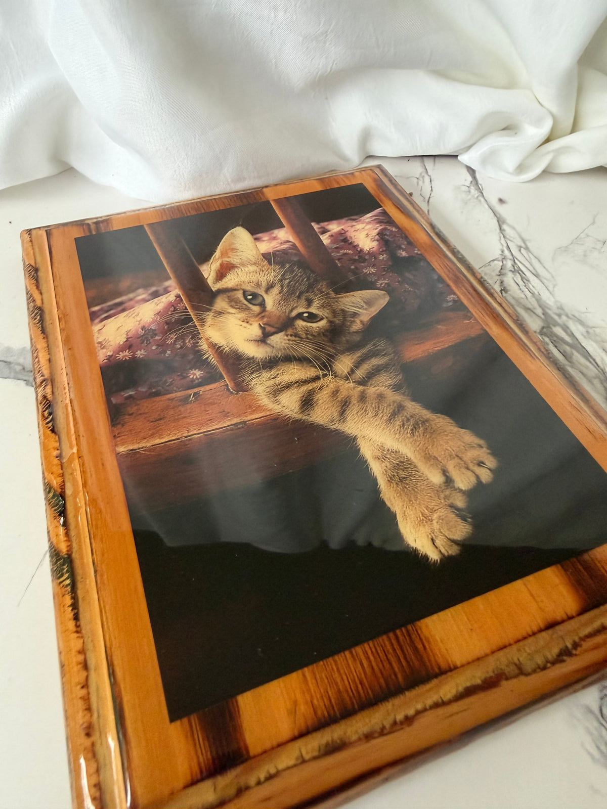 Fotografía de gato atigrado enmarcada vintage – Marco de madera rústica – Encantador arte de pared de gatito – Decoración de gatos estilo cottagecore y granja