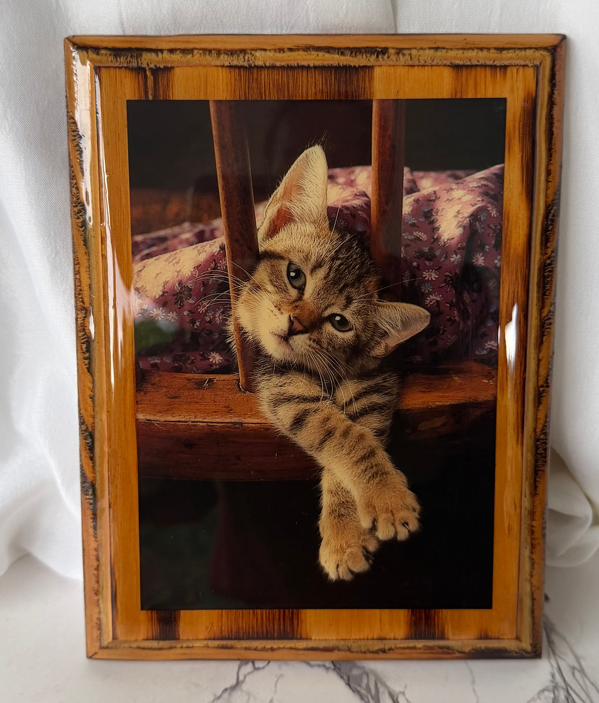 Fotografía de gato atigrado enmarcada vintage – Marco de madera rústica – Encantador arte de pared de gatito – Decoración de gatos estilo cottagecore y granja